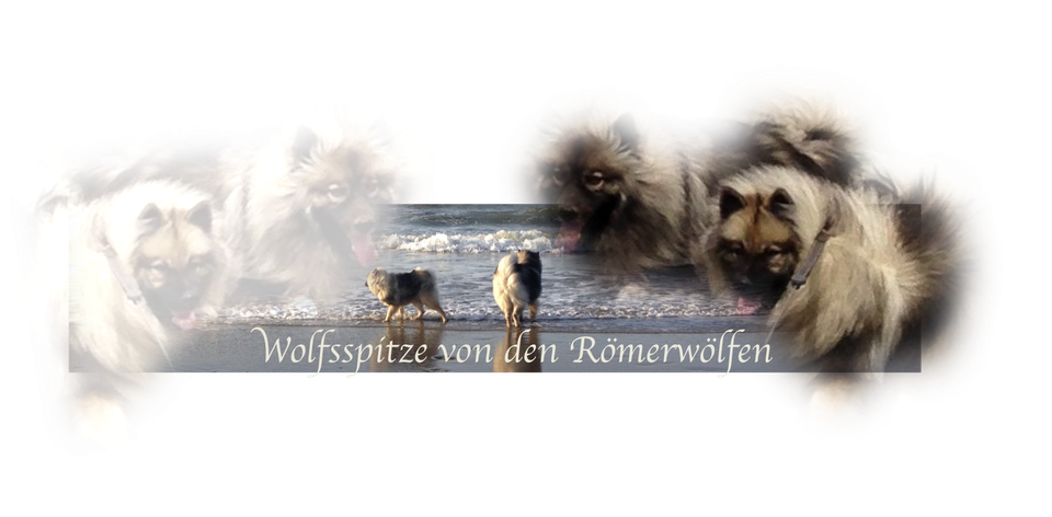 römerwölfe