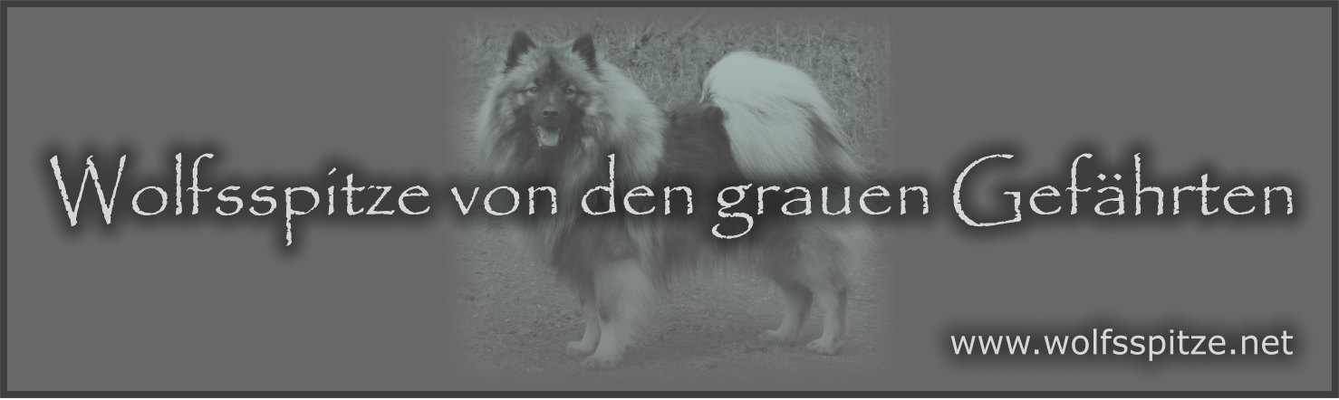 graue-gefährten-banner